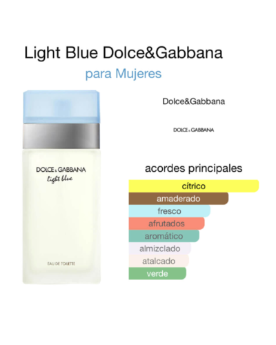 Light Blue Dolce & Gabbana