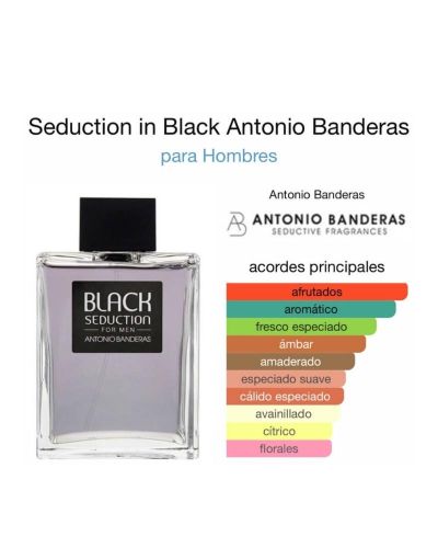 Seduction in Black Antonio Banderas