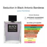 Seduction in Black Antonio Banderas